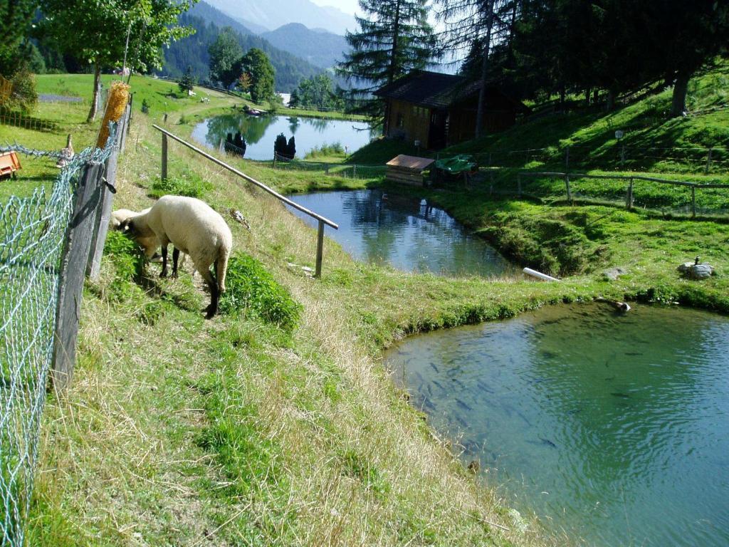 Innviertler Berggasthof 라드스타드트 외부 사진